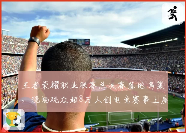 王者荣耀职业联赛总决赛落地鸟巢，现场观众超8万人创电竞赛事上座纪录