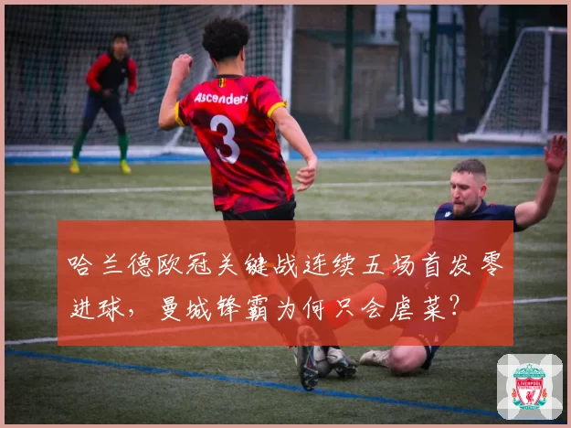 哈兰德欧冠关键战连续五场首发零进球,曼城锋霸为何只会虐菜?