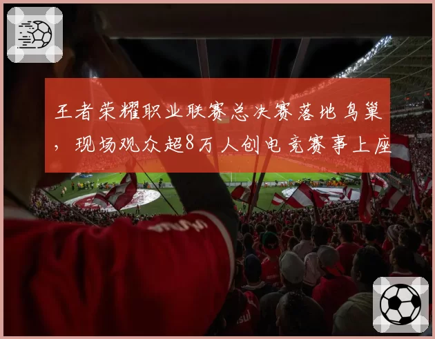 王者荣耀职业联赛总决赛落地鸟巢，现场观众超8万人创电竞赛事上座纪录